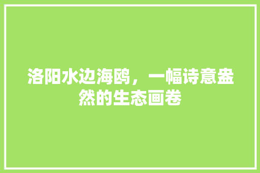 洛阳水边海鸥，一幅诗意盎然的生态画卷  第1张