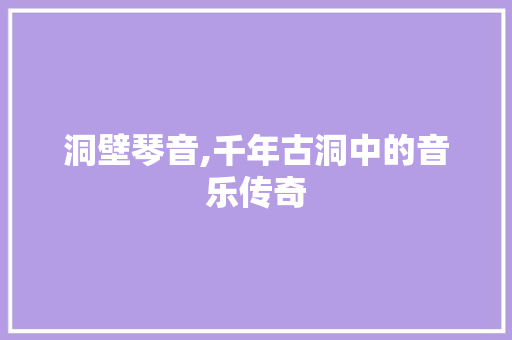 洞壁琴音,千年古洞中的音乐传奇