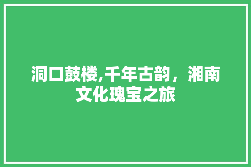 洞口鼓楼,千年古韵，湘南文化瑰宝之旅