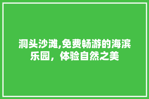 洞头沙滩,免费畅游的海滨乐园，体验自然之美