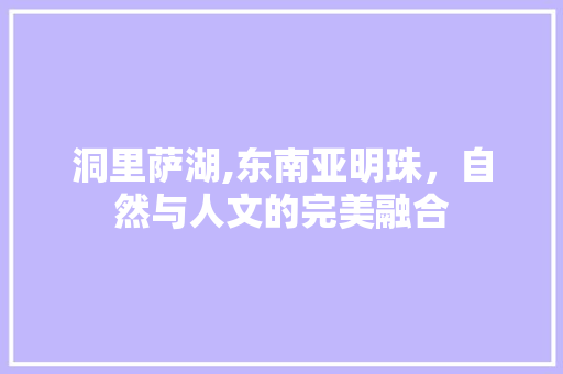 洞里萨湖,东南亚明珠，自然与人文的完美融合