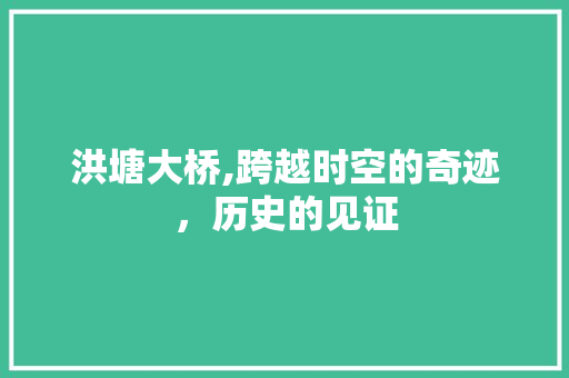 洪塘大桥,跨越时空的奇迹，历史的见证