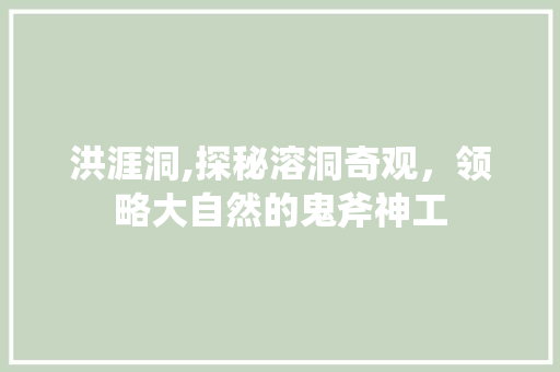 洪涯洞,探秘溶洞奇观，领略大自然的鬼斧神工