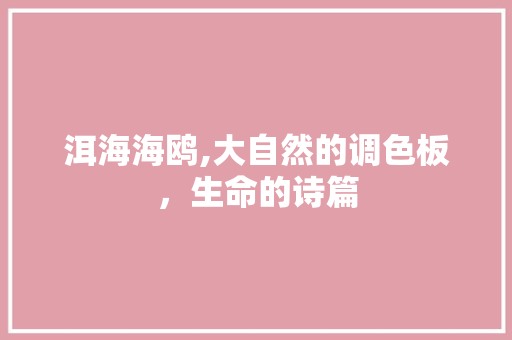 洱海海鸥,大自然的调色板，生命的诗篇