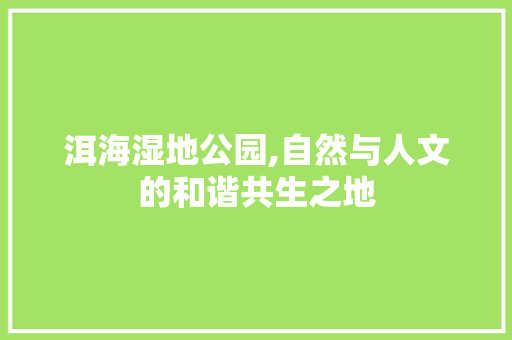 洱海湿地公园,自然与人文的和谐共生之地