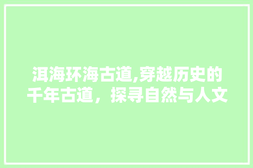 洱海环海古道,穿越历史的千年古道，探寻自然与人文的完美融合