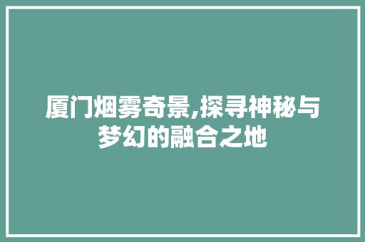 厦门烟雾奇景,探寻神秘与梦幻的融合之地