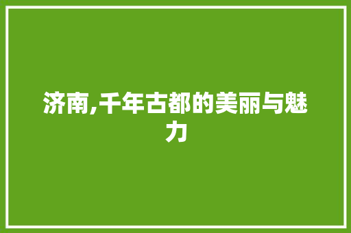 济南,千年古都的美丽与魅力  第1张