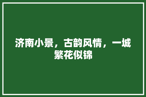 济南小景，古韵风情，一城繁花似锦