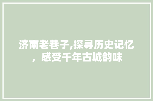 济南老巷子,探寻历史记忆，感受千年古城韵味  第1张