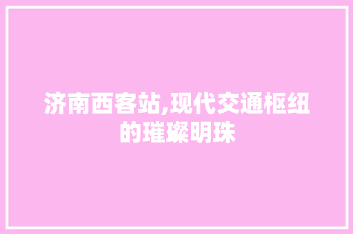 济南西客站,现代交通枢纽的璀璨明珠  第1张