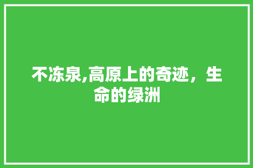 不冻泉,高原上的奇迹，生命的绿洲