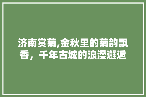 济南赏菊,金秋里的菊韵飘香，千年古城的浪漫邂逅