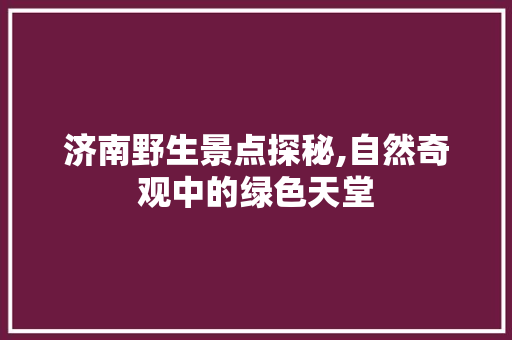 济南野生景点探秘,自然奇观中的绿色天堂