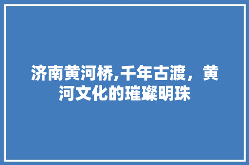 济南黄河桥,千年古渡，黄河文化的璀璨明珠  第1张