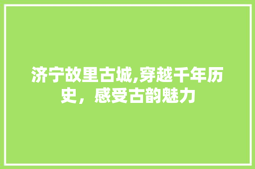 济宁故里古城,穿越千年历史，感受古韵魅力