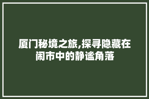 厦门秘境之旅,探寻隐藏在闹市中的静谧角落