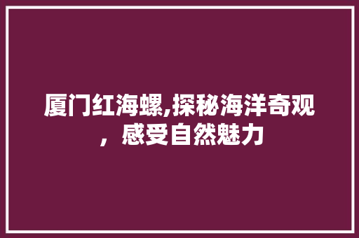 厦门红海螺,探秘海洋奇观，感受自然魅力