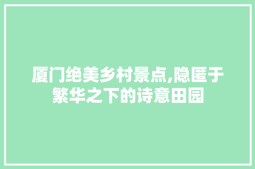 厦门绝美乡村景点,隐匿于繁华之下的诗意田园