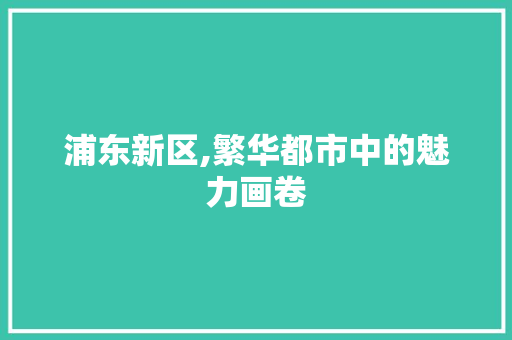 浦东新区,繁华都市中的魅力画卷