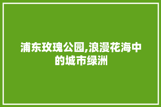 浦东玫瑰公园,浪漫花海中的城市绿洲