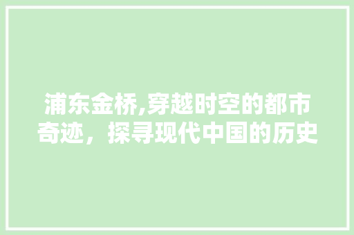 浦东金桥,穿越时空的都市奇迹，探寻现代中国的历史足迹  第1张