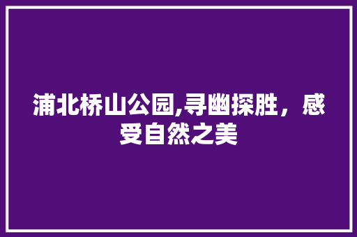 浦北桥山公园,寻幽探胜，感受自然之美