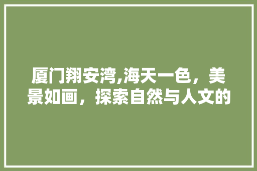 厦门翔安湾,海天一色，美景如画，探索自然与人文的完美融合