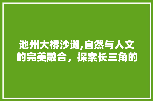 池州大桥沙滩,自然与人文的完美融合，探索长三角的宝藏之地