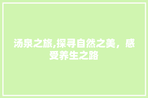 汤泉之旅,探寻自然之美，感受养生之路