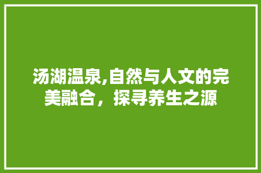 汤湖温泉,自然与人文的完美融合，探寻养生之源