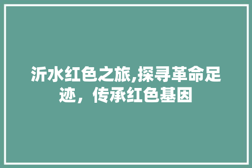 沂水红色之旅,探寻革命足迹，传承红色基因  第1张