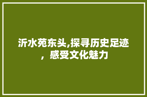 沂水苑东头,探寻历史足迹，感受文化魅力