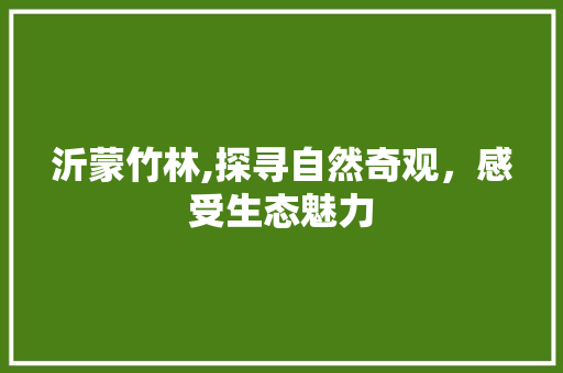 沂蒙竹林,探寻自然奇观，感受生态魅力