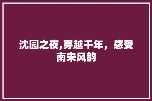 沈园之夜,穿越千年，感受南宋风韵  第1张