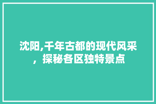 沈阳,千年古都的现代风采，探秘各区独特景点  第1张