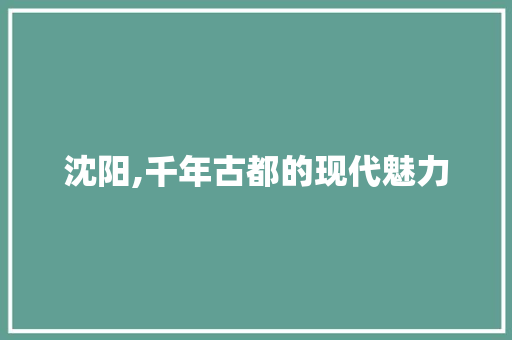 沈阳,千年古都的现代魅力