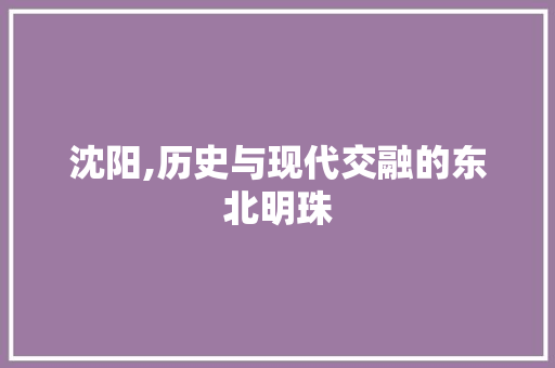 沈阳,历史与现代交融的东北明珠  第1张