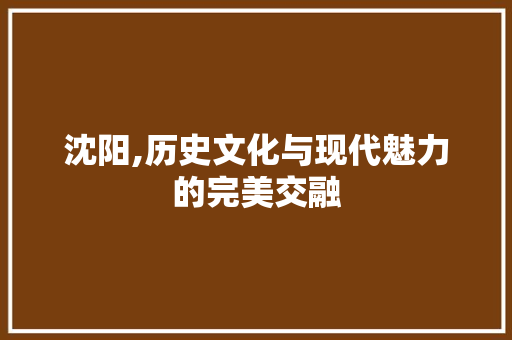 沈阳,历史文化与现代魅力的完美交融  第1张