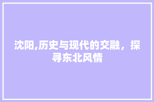 沈阳,历史与现代的交融，探寻东北风情