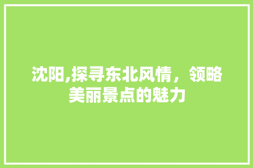 沈阳,探寻东北风情，领略美丽景点的魅力