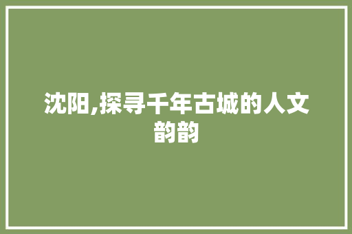 沈阳,探寻千年古城的人文韵韵