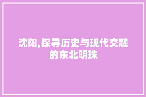 沈阳,探寻历史与现代交融的东北明珠