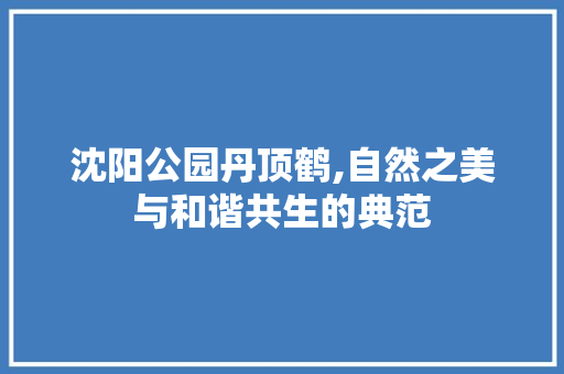 沈阳公园丹顶鹤,自然之美与和谐共生的典范