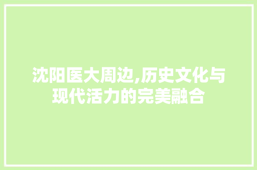 沈阳医大周边,历史文化与现代活力的完美融合