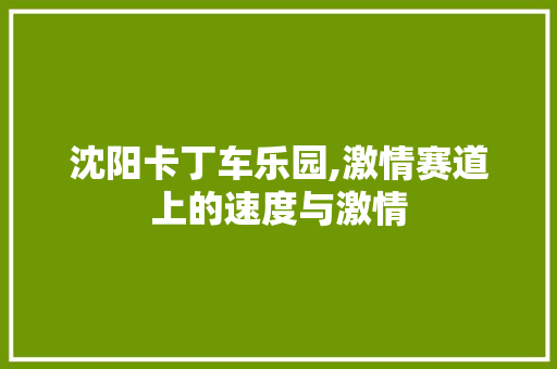 沈阳卡丁车乐园,激情赛道上的速度与激情