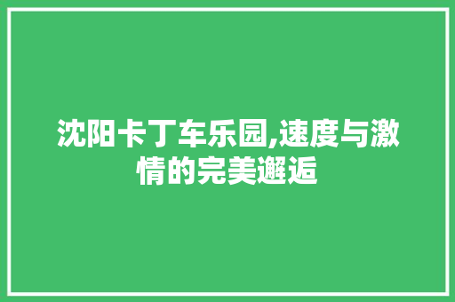 沈阳卡丁车乐园,速度与激情的完美邂逅