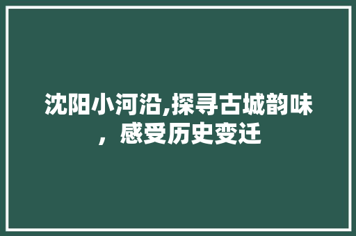 沈阳小河沿,探寻古城韵味，感受历史变迁