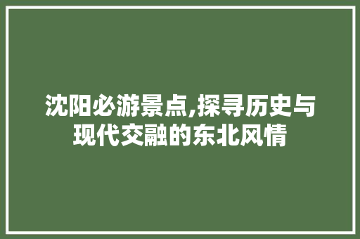 沈阳必游景点,探寻历史与现代交融的东北风情