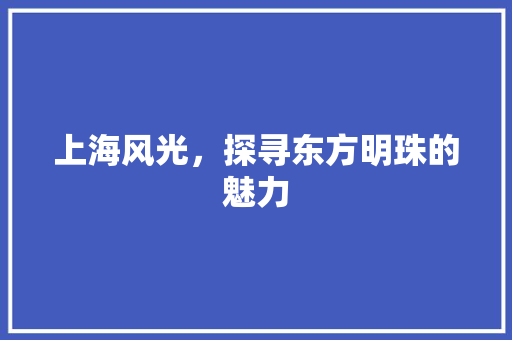 上海风光，探寻东方明珠的魅力  第1张